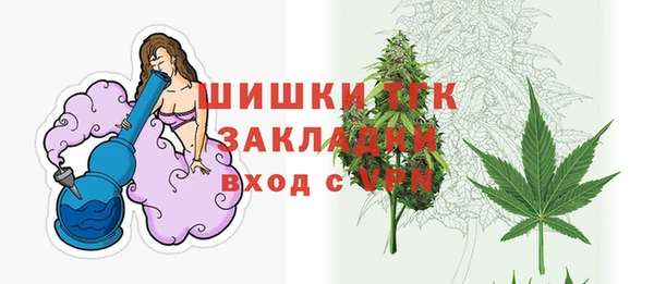 гидра Арсеньев