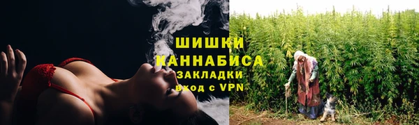 гидра Арсеньев