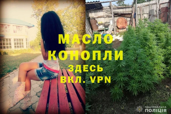 гидра Арсеньев