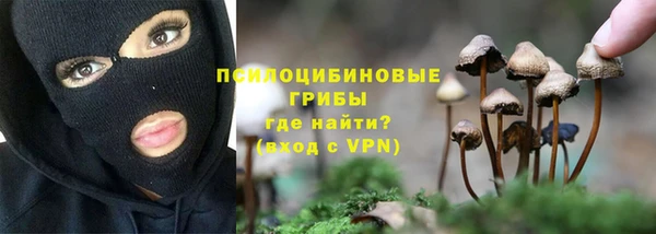 СК Армянск