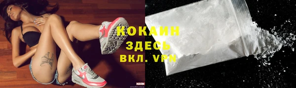 гидра Арсеньев