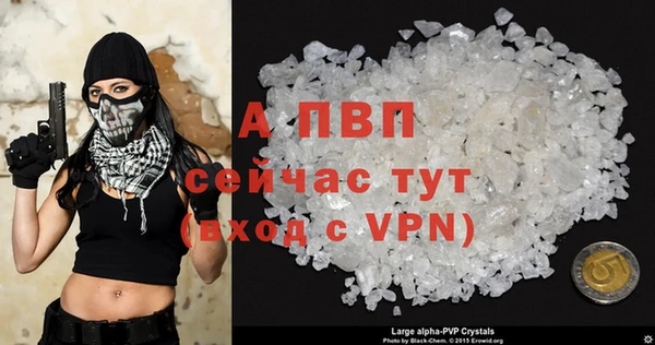 гидра Арсеньев