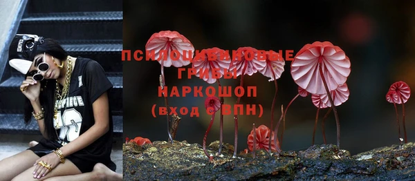 СК Армянск